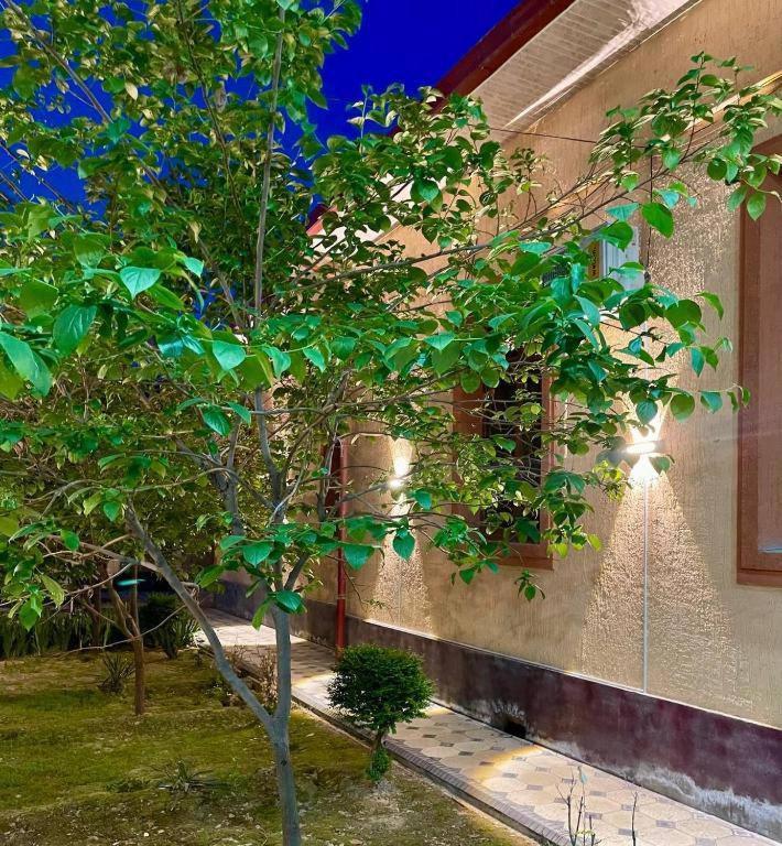 Hotel Amor Fati Taschkent Exterior foto